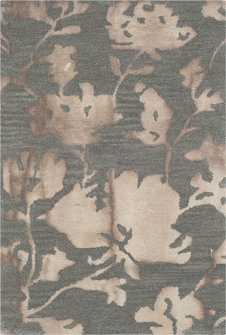 Safavieh Dip Dye 716 Grey/Beige Area Rug 