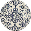 Safavieh Dip Dye 719 Ivory/Navy Area Rug Round