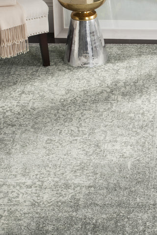 Safavieh Evoke EVK256S Silver/Ivory Area Rug 