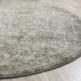 Safavieh Evoke EVK256S Silver/Ivory Area Rug 