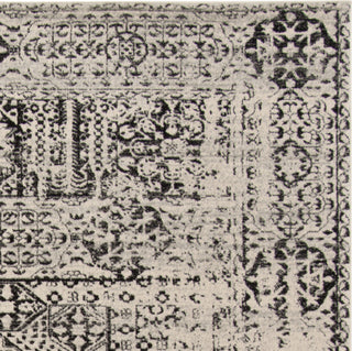 Safavieh Evoke EVK260T Ivory/Black Area Rug 