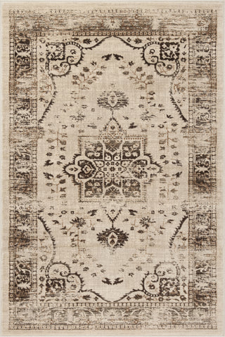 Safavieh Evoke EVK509B Beige/Brown Area Rug 