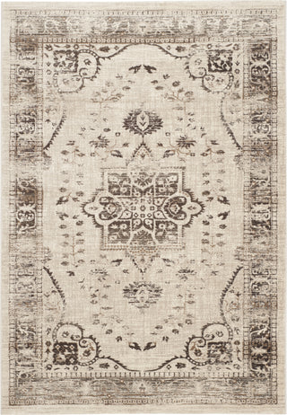 Safavieh Evoke EVK509B Beige/Brown Area Rug main image