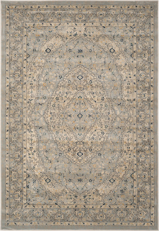 Safavieh Evoke EVK518L Light Grey/Cream Area Rug main image