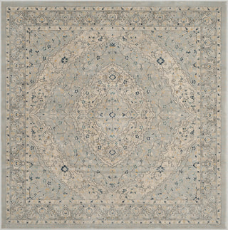 Safavieh Evoke EVK518L Light Grey/Cream Area Rug 