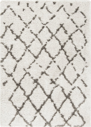 Safavieh Flokati Shag FLK981G Silver/Charcoal Area Rug main image