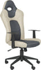 Safavieh Belinda Desk Chair Grey Furniture 