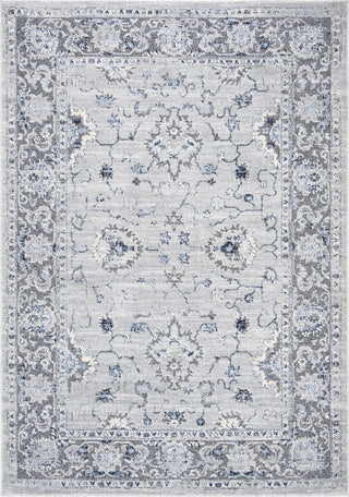 Safavieh Harbor HBR145G Light Grey/Dark Grey Area Rug main image