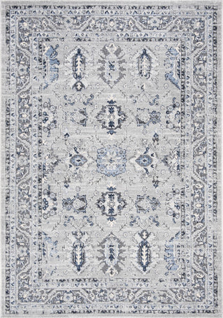 Safavieh Harbor HBR147G Light Grey/Dark Grey Area Rug main image