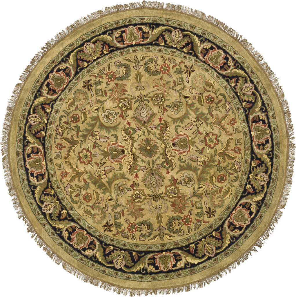 Safavieh Heritage 162 Light Green/Black Area Rug main image