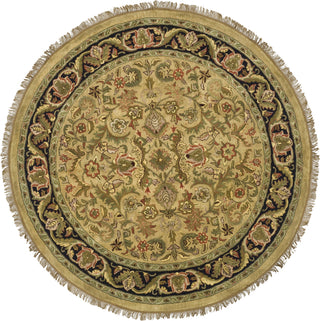 Safavieh Heritage 162 Light Green/Black Area Rug main image