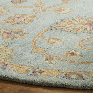 Safavieh Heritage 274 Light Blue/Multi Area Rug Detail