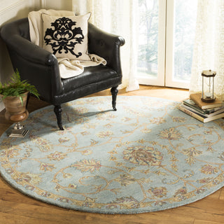 Safavieh Heritage 274 Light Blue/Multi Area Rug Room Scene Feature