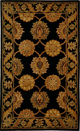 Safavieh Heritage 314 Black Area Rug main image