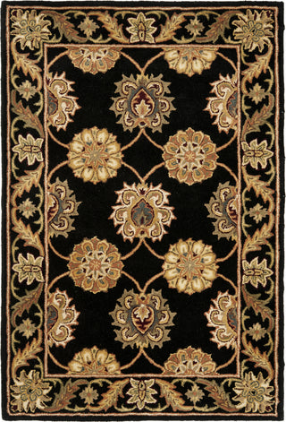 Safavieh Heritage 314 Black Area Rug Main