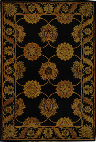 Safavieh Heritage 314 Black Area Rug Main