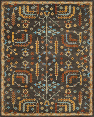 Safavieh Heritage 409 Charcoal/Multi Area Rug Main