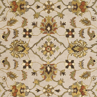 Safavieh Heritage 452 Ivory/Light Gold Area Rug 