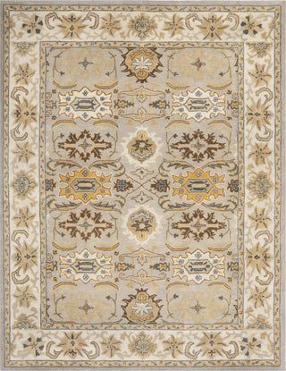 Safavieh Heritage 734 Light Grey/Grey Area Rug Main