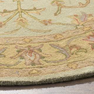 Safavieh Heritage 811 Green/Gold Area Rug Detail