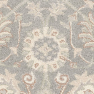 Safavieh Heritage 824 Grey/Ivory Area Rug 