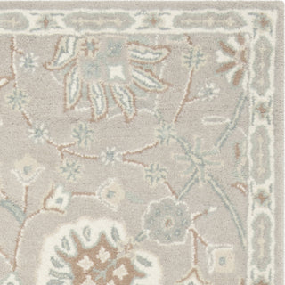 Safavieh Heritage 824 Silver/Ivory Area Rug 