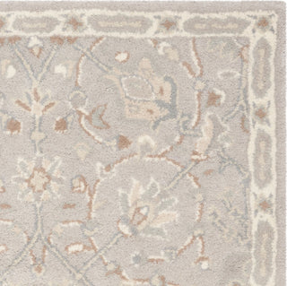 Safavieh Heritage 824 Silver/Ivory Area Rug 