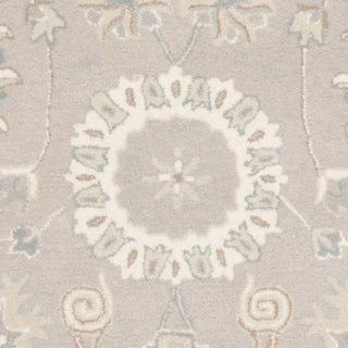 Safavieh Heritage 824 Silver/Ivory Area Rug 