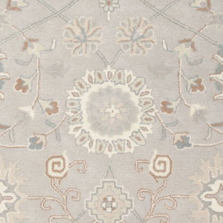 Safavieh Heritage 824 Silver/Ivory Area Rug 