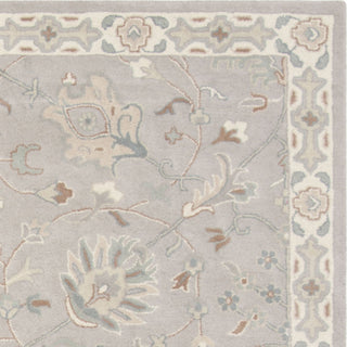 Safavieh Heritage 824 Silver/Ivory Area Rug 