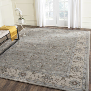 Safavieh Heritage 862 Beige/Grey Area Rug Room Scene