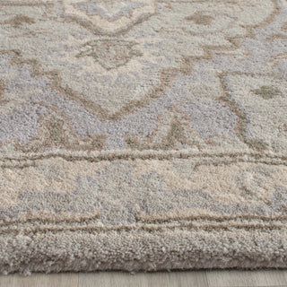 Safavieh Heritage 866 Beige/Grey Area Rug Detail