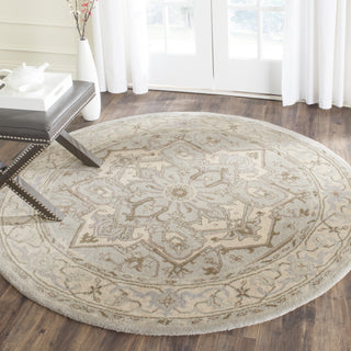 Safavieh Heritage 866 Beige/Grey Area Rug Room Scene