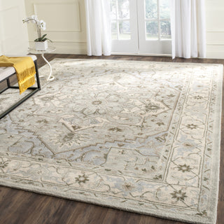 Safavieh Heritage 866 Beige/Grey Area Rug Room Scene