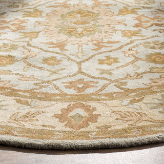 Safavieh Heritage 937 Light Blue/Ivory Area Rug Detail