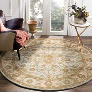 Safavieh Heritage 937 Light Blue/Ivory Area Rug Room Scene Feature