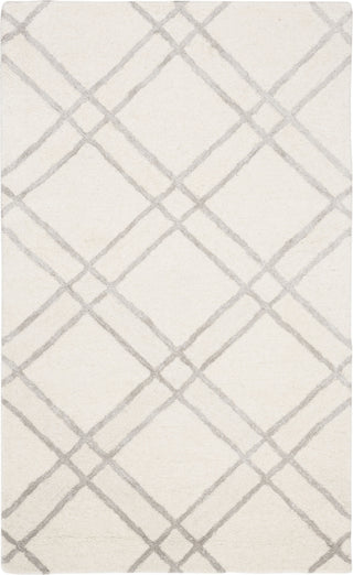 Safavieh Himalaya 901 Ivory/Silver Area Rug main image