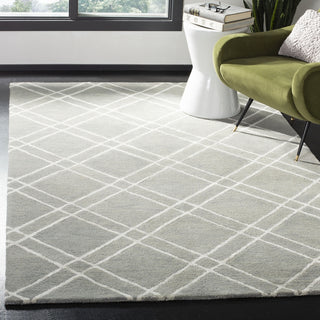 Safavieh Himalaya 901 Grey/Silver Area Rug Room Scene Feature