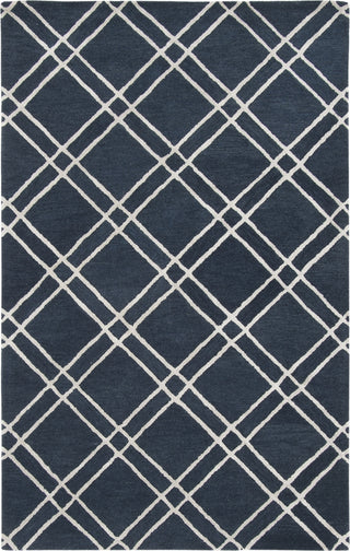 Safavieh Himalaya 901 Navy/Silver Area Rug Main