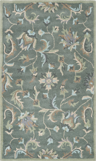 Safavieh Jardin Jar461 Grey/Multi Area Rug main image