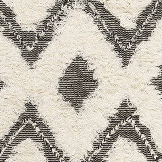 Safavieh Kenya KNY903 Black/Ivory Area Rug 