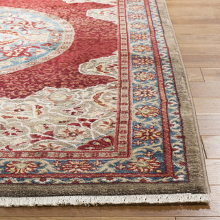 Safavieh Kashan KSN302F Red/Blue Area Rug 