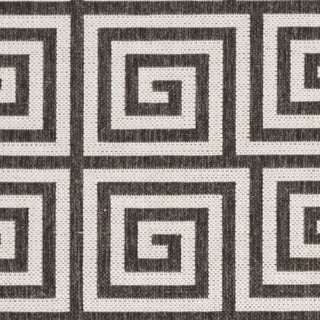 Safavieh Linden LND129A Light Grey/Charcoal Area Rug 