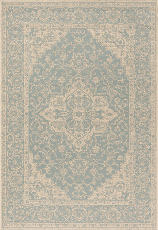 Safavieh Linden LND137K Aqua/Cream Area Rug main image