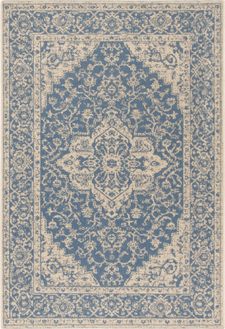 Safavieh Linden LND137M Blue/Creme Area Rug main image