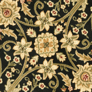 Safavieh Lyndhurst LNH212A Black/Ivory Area Rug 