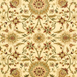 Safavieh Lyndhurst LNH212K Ivory/Red Area Rug 