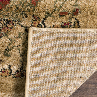 Safavieh Lyndhurst LNH224A Beige/Multi Area Rug 