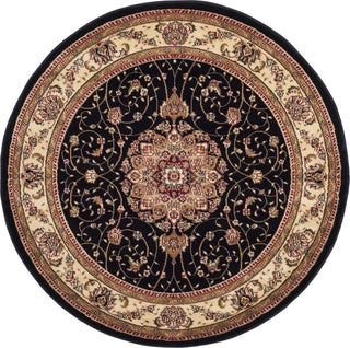 Safavieh Lyndhurst LNH329A Black/Ivory Area Rug 