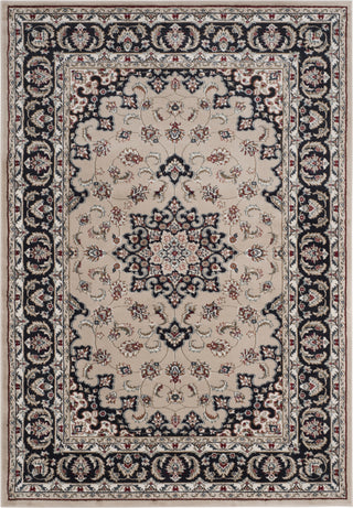 Safavieh Lyndhurst LNH336K Cream/Anthracite Area Rug main image